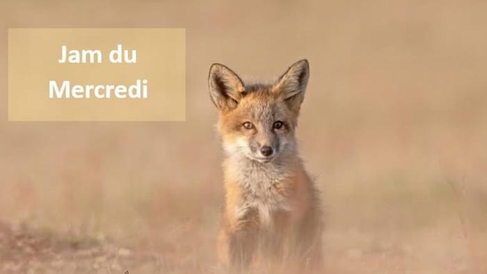 Jam du Mercredi